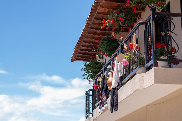 Quelles plantes sont adaptées au jardinage sur balcon ?