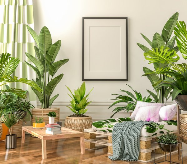 Comment choisir des rideaux pour son salon ?