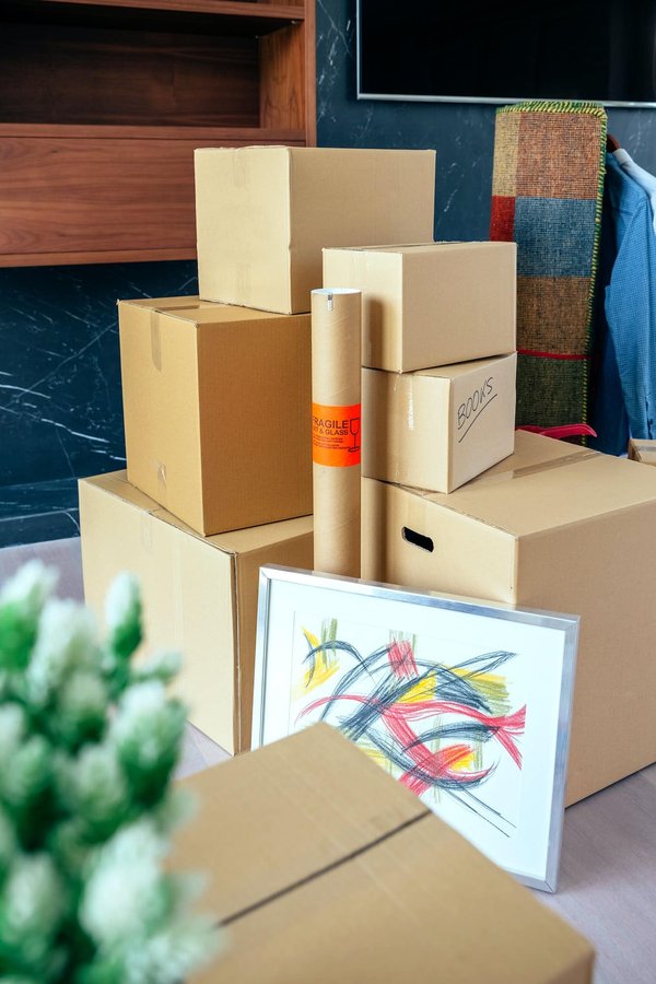 Pourquoi opter pour les cartons de déménagement ?