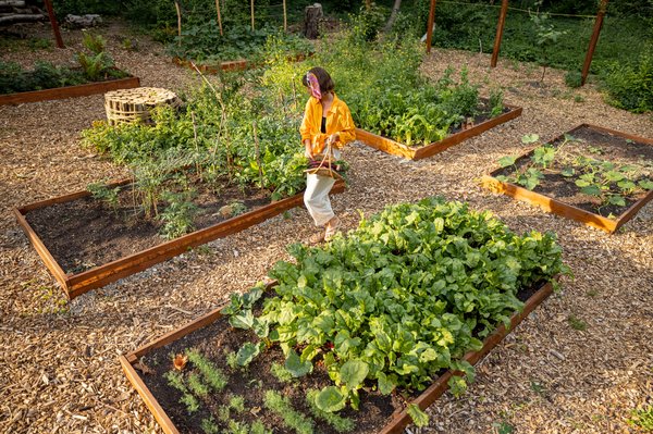 Découvrez les bénéfices et projets des potagers urbains à Genève