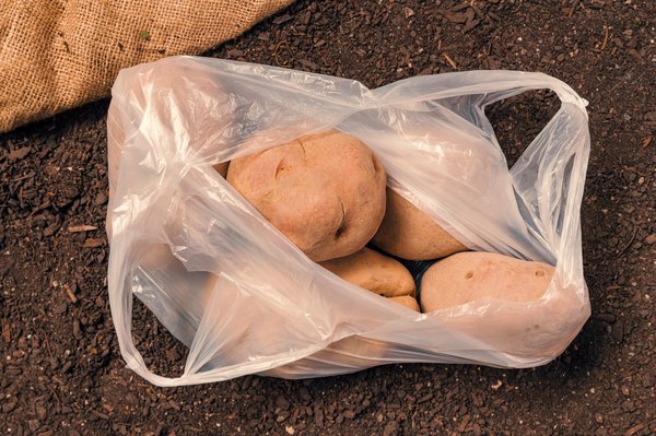 Sacs plastiques transparents : solutions pratiques pour commerçants