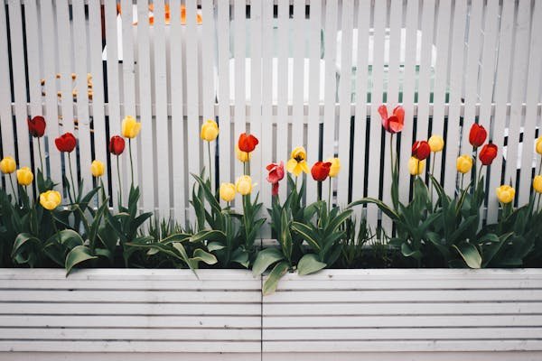 Clôtures rigides : alliez sécurité et personnalisation pour votre jardin